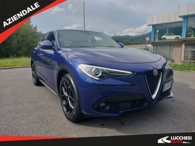 Alfa Romeo Stelvio Stelvio 2.2 Turbodiesel 190 CV AT8 Q4 Business usata