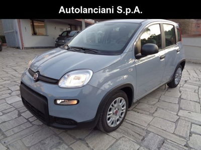 Fiat Panda 1.0 firefly hybrid s&s 70cv 5p.ti usata