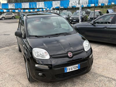 Fiat Panda 1.2 Easy usata