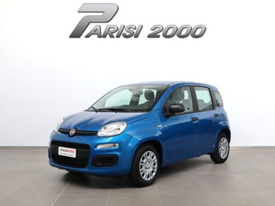 Fiat Panda 1.0 firefly hybrid s&s 70cv 5p.ti nuova