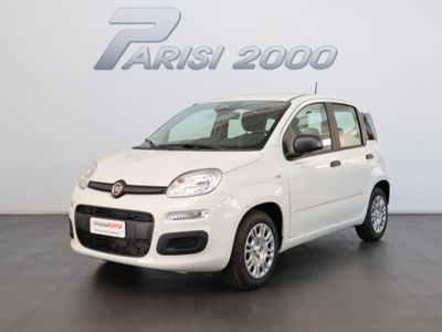 Fiat Panda 1.0 firefly hybrid s&s 70cv 5p.ti nuova