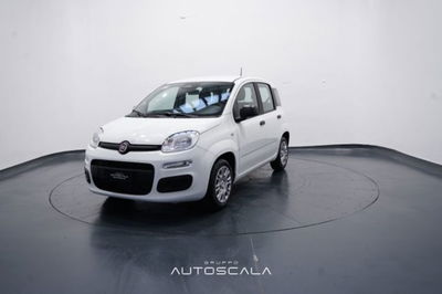 Fiat Panda 1.0 firefly hybrid s&s 70cv 5p.ti nuova