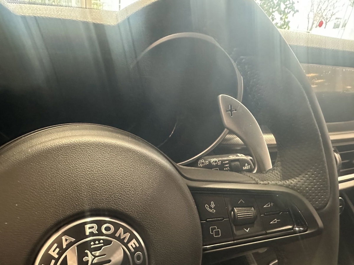 Alfa Romeo Stelvio Stelvio 2.2 Turbodiesel 210 CV AT8 Q4 Veloce (16)