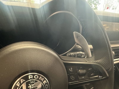 Alfa Romeo Stelvio Stelvio 2.2 Turbodiesel 210 CV AT8 Q4 Veloce (16)