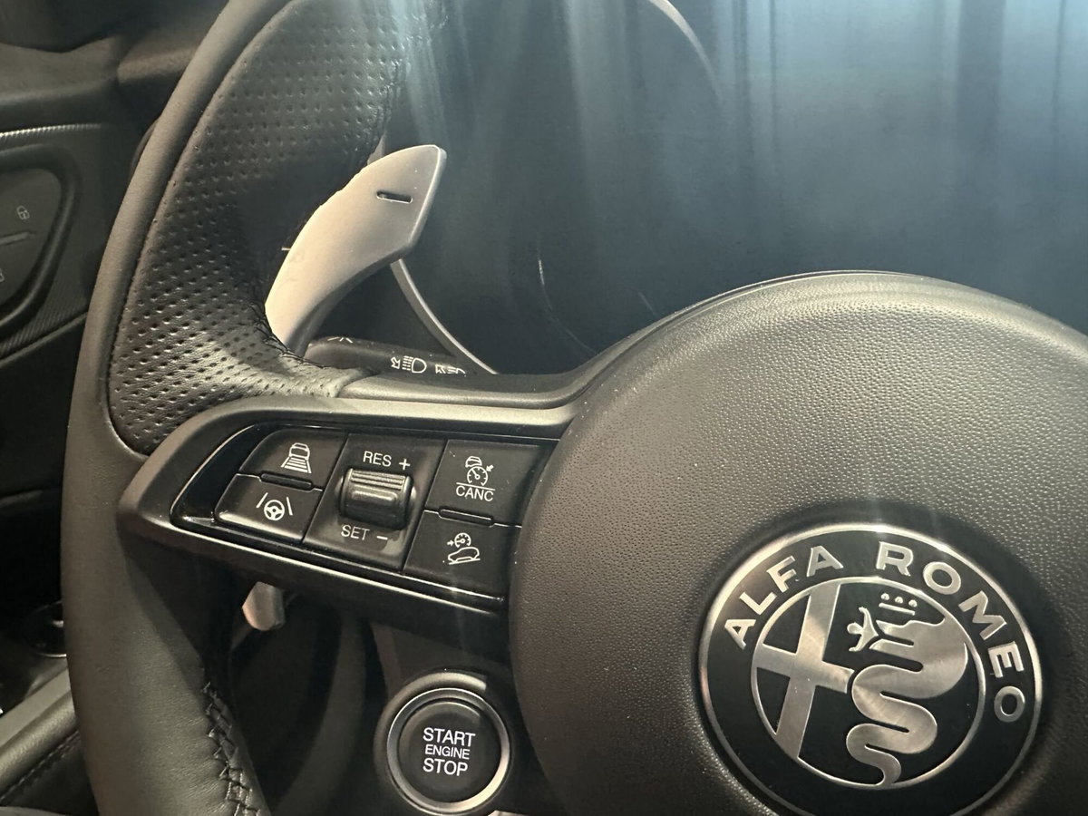 Alfa Romeo Stelvio Stelvio 2.2 Turbodiesel 210 CV AT8 Q4 Veloce (17)