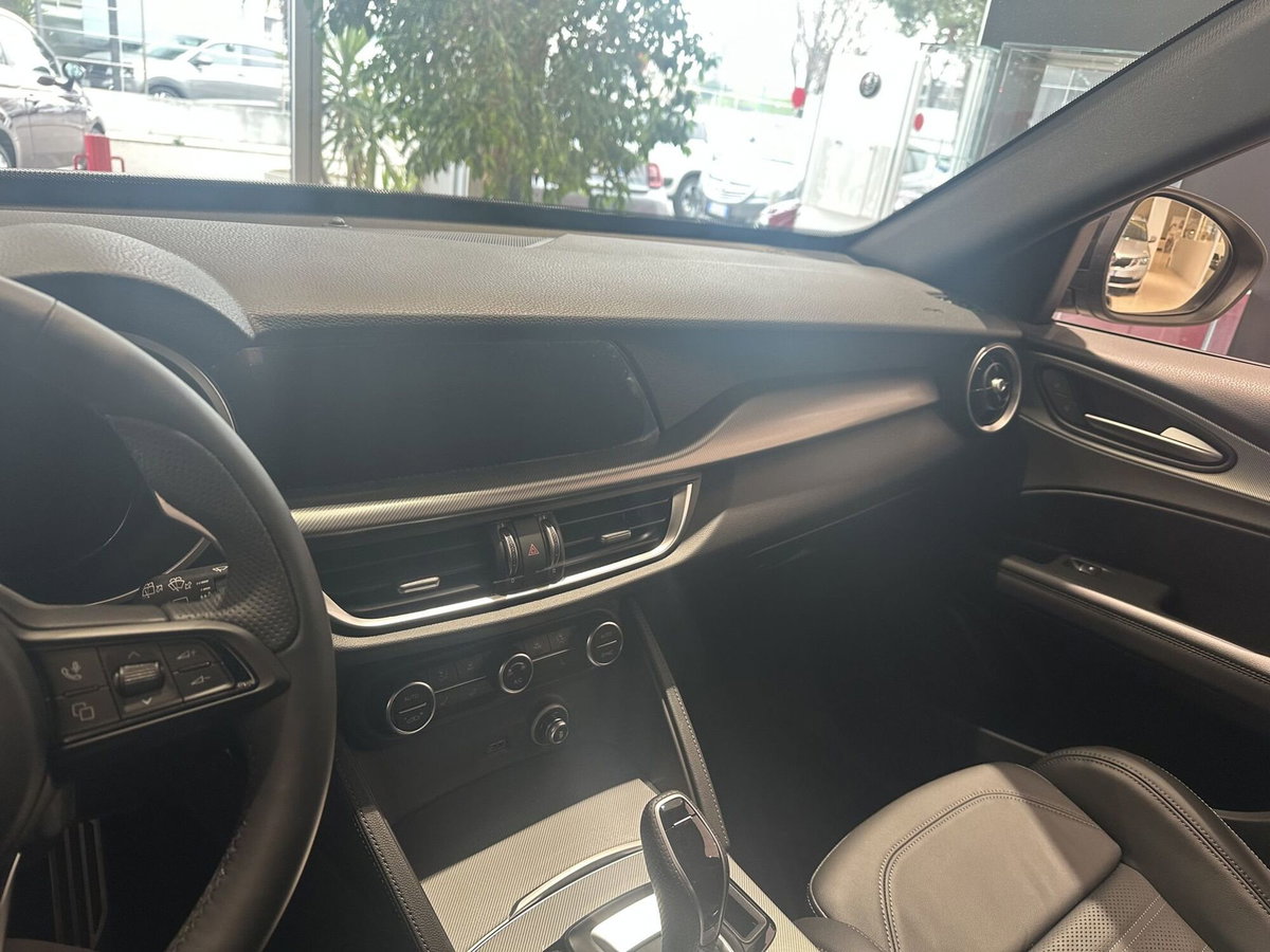 Alfa Romeo Stelvio Stelvio 2.2 Turbodiesel 210 CV AT8 Q4 Veloce (18)