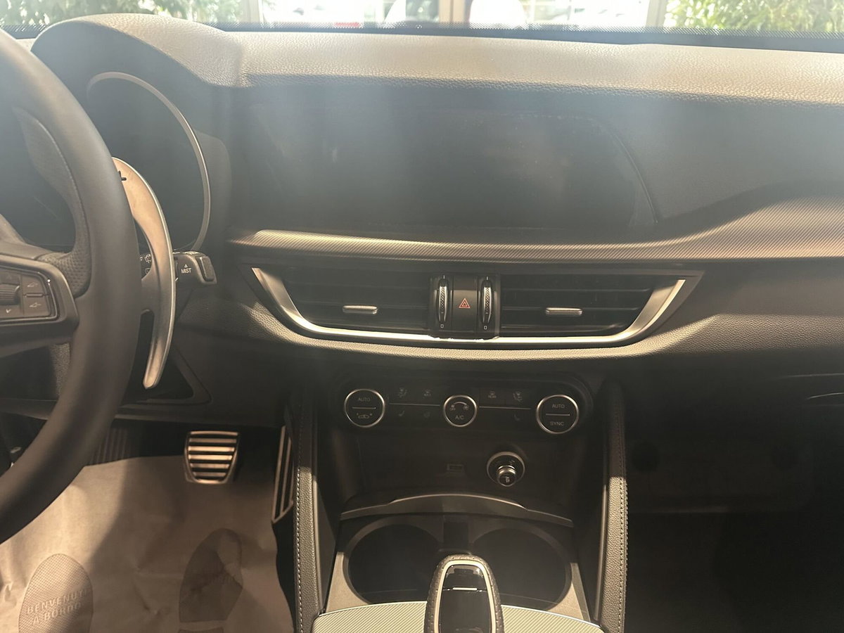 Alfa Romeo Stelvio Stelvio 2.2 Turbodiesel 210 CV AT8 Q4 Veloce (19)
