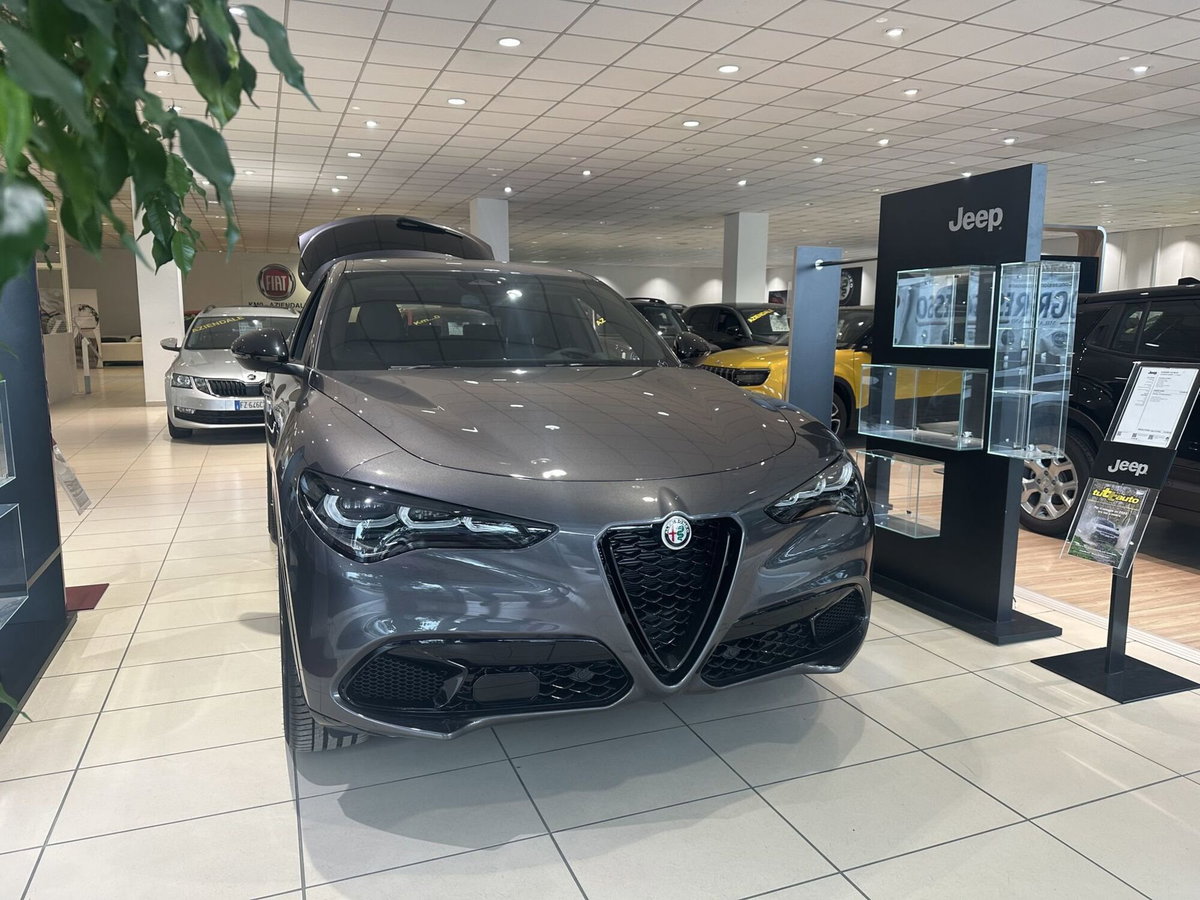 Alfa Romeo Stelvio Stelvio 2.2 Turbodiesel 210 CV AT8 Q4 Veloce (4)