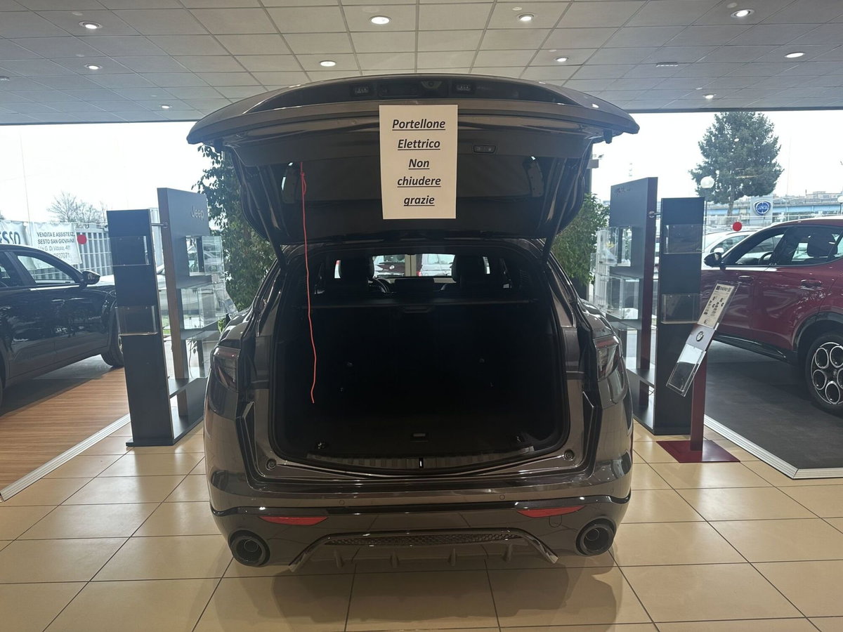 Alfa Romeo Stelvio Stelvio 2.2 Turbodiesel 210 CV AT8 Q4 Veloce (7)