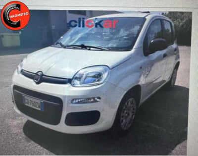 Fiat Panda 1.2 Easy usata