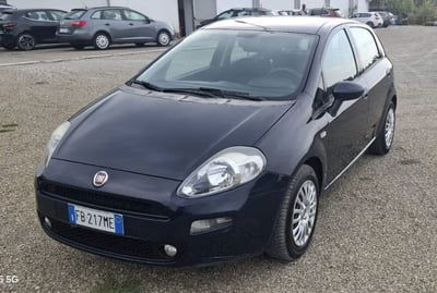 Fiat Punto 1.2 8V 5 porte Lounge usata