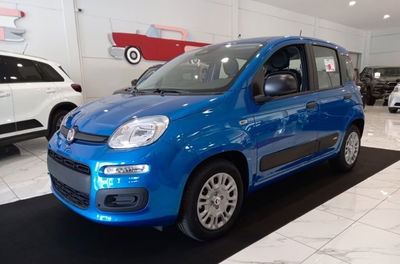 Fiat Panda 1.0 firefly hybrid Pop s&s 70cv nuova
