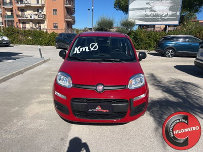 Fiat Panda Cross Cross 1.0 FireFly S&S Hybrid (2)