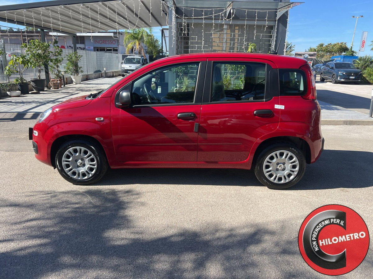 Fiat Panda Cross Cross 1.0 FireFly S&S Hybrid (3)