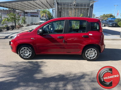 Fiat Panda Cross Cross 1.0 FireFly S&S Hybrid (3)