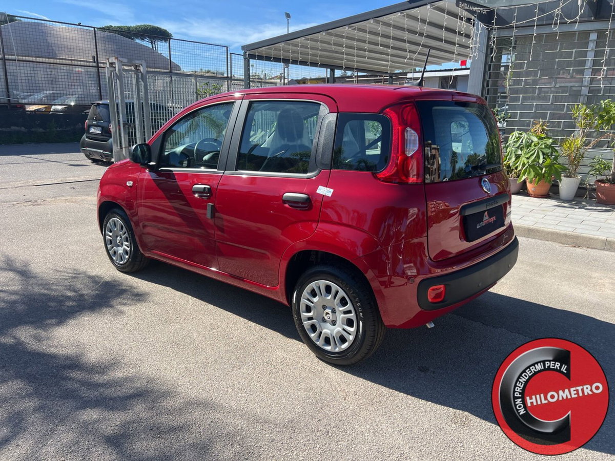 Fiat Panda Cross Cross 1.0 FireFly S&S Hybrid (4)