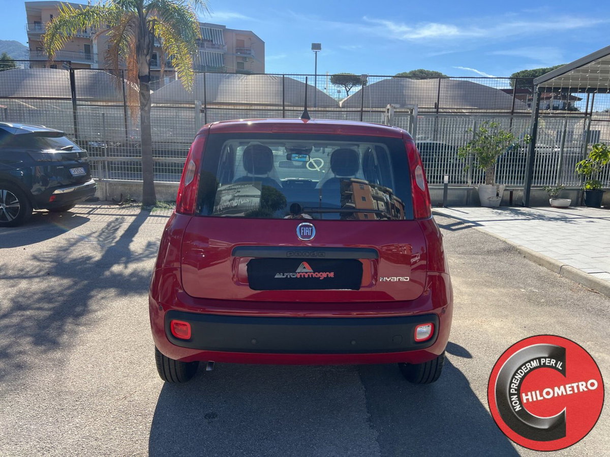 Fiat Panda Cross Cross 1.0 FireFly S&S Hybrid (5)