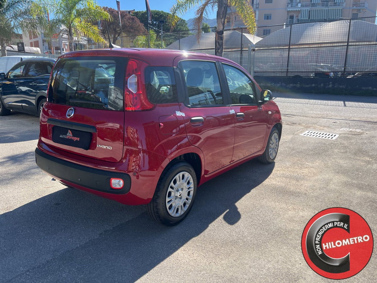 Fiat Panda Cross Cross 1.0 FireFly S&S Hybrid (6)