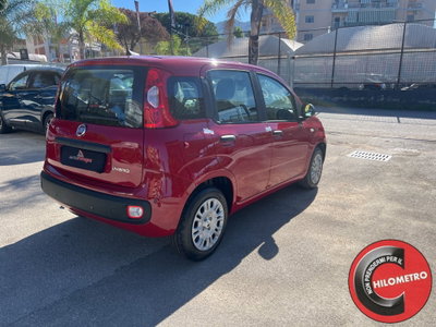 Fiat Panda Cross Cross 1.0 FireFly S&S Hybrid (6)