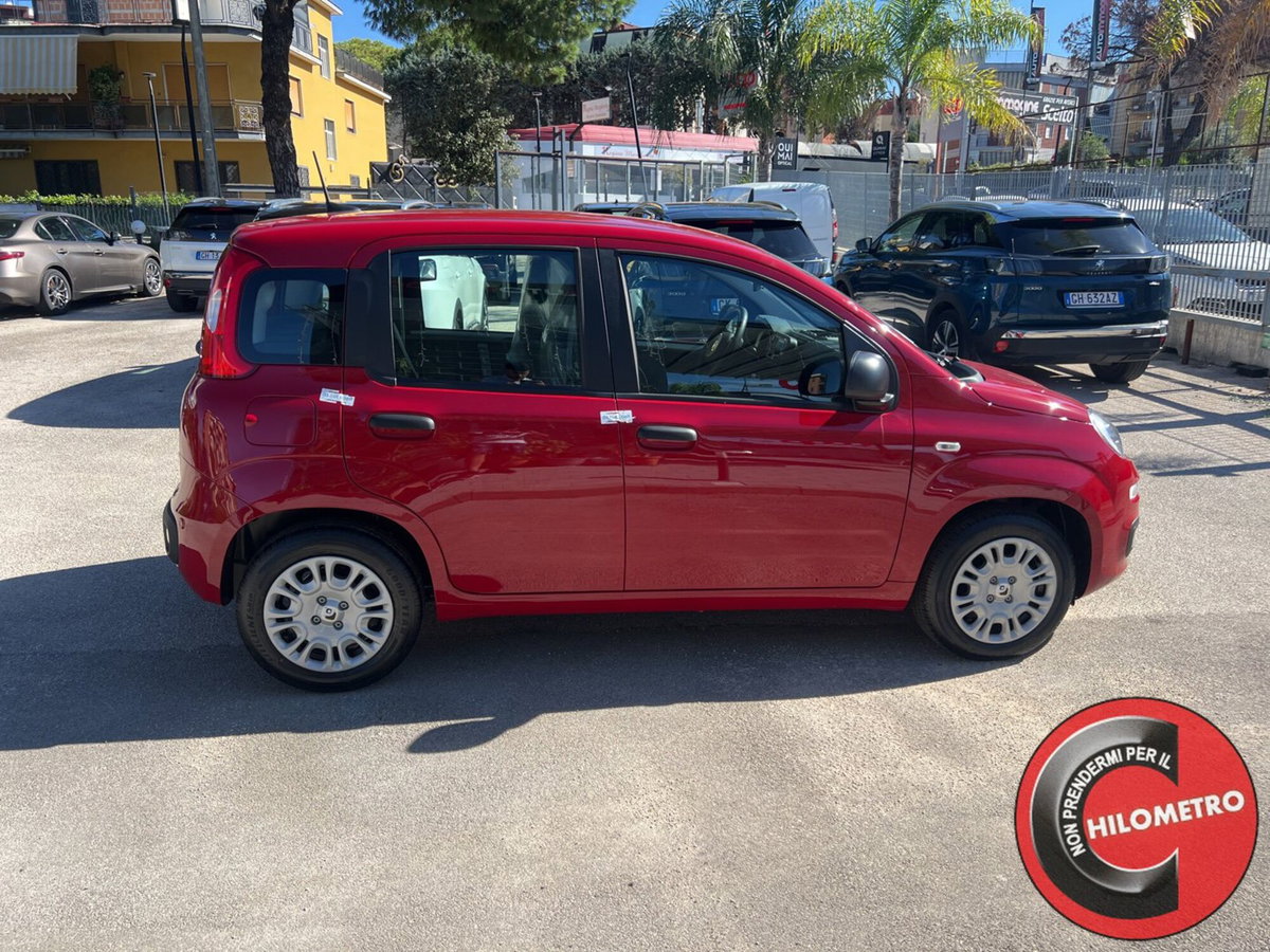 Fiat Panda Cross Cross 1.0 FireFly S&S Hybrid (7)