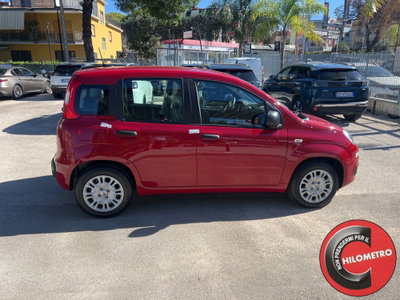 Fiat Panda Cross Cross 1.0 FireFly S&S Hybrid (7)