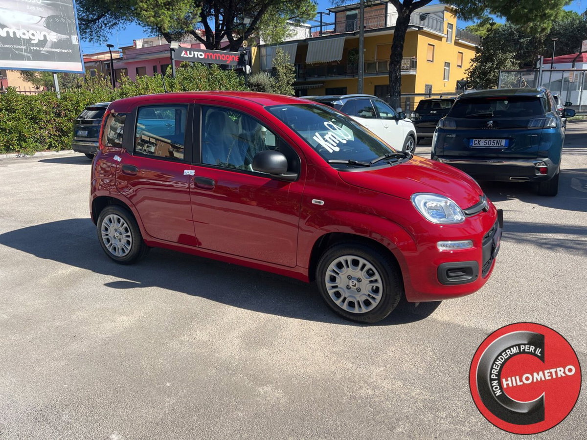 Fiat Panda Cross Cross 1.0 FireFly S&S Hybrid (8)