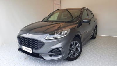 Ford Kuga 1.5 EcoBlue 120 CV aut. 2WD ST-Line X usata