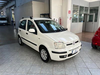 Fiat Panda 1.2 Dynamic usata