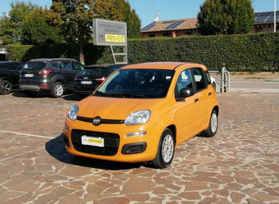 Fiat Panda 1.0 firefly hybrid s&s 70cv 5p.ti usata