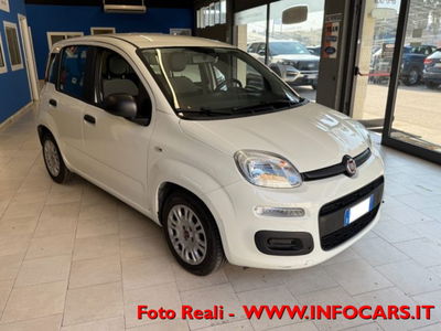 Fiat Panda 1.0 firefly hybrid s&s 70cv 5p.ti usata