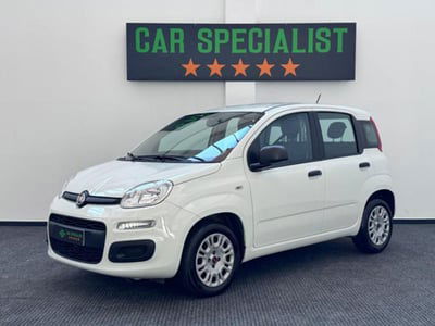 Fiat Panda 1.2 EasyPower Easy usata