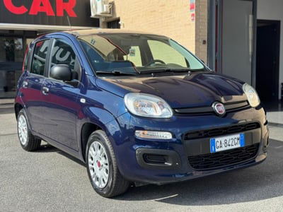 Fiat Panda 1.2 Easy usata