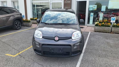 Fiat Panda Cross Cross 1.0 FireFly S&S Hybrid usata