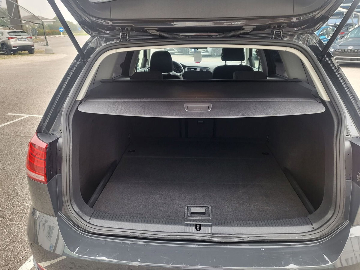 Volkswagen Golf Variant 1.6 TDI 115 CV DSG Business BlueMotion Tech. (8)