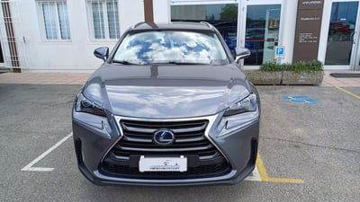Lexus NX Hybrid Executive usata