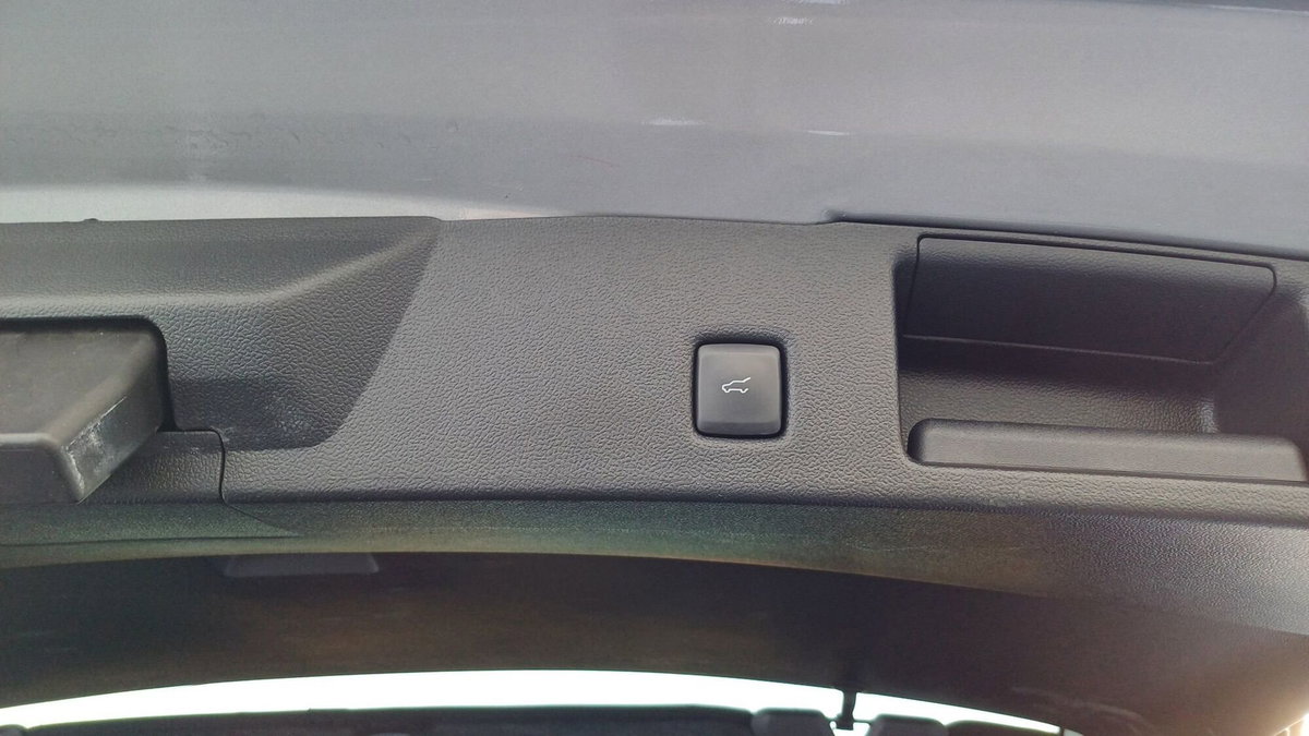 Ford Kuga 1.5 EcoBlue 120 CV aut. 2WD Titanium X (9)