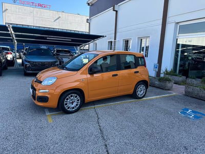Fiat Panda 1.0 FireFly S&S Hybrid Easy usata