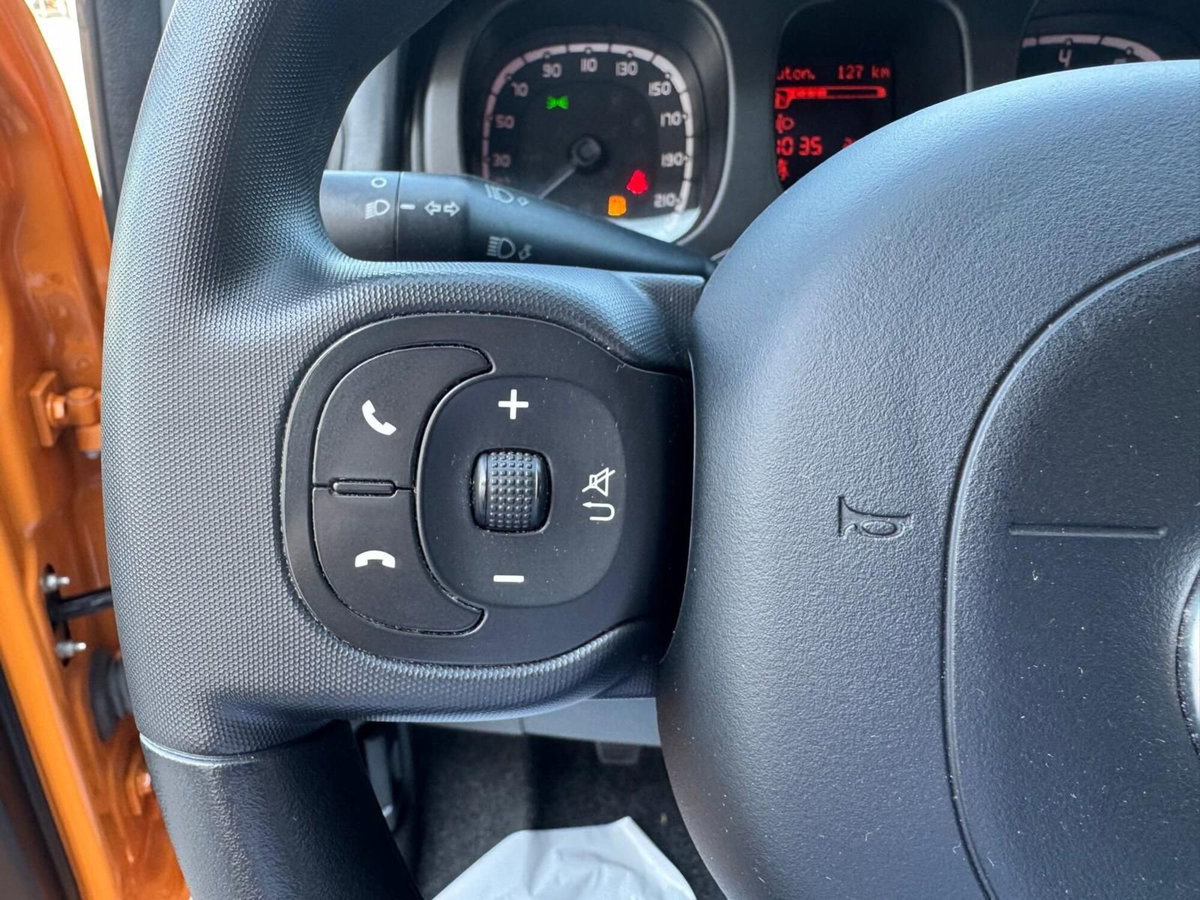 Fiat Panda 1.0 FireFly S&S Hybrid Easy (18)