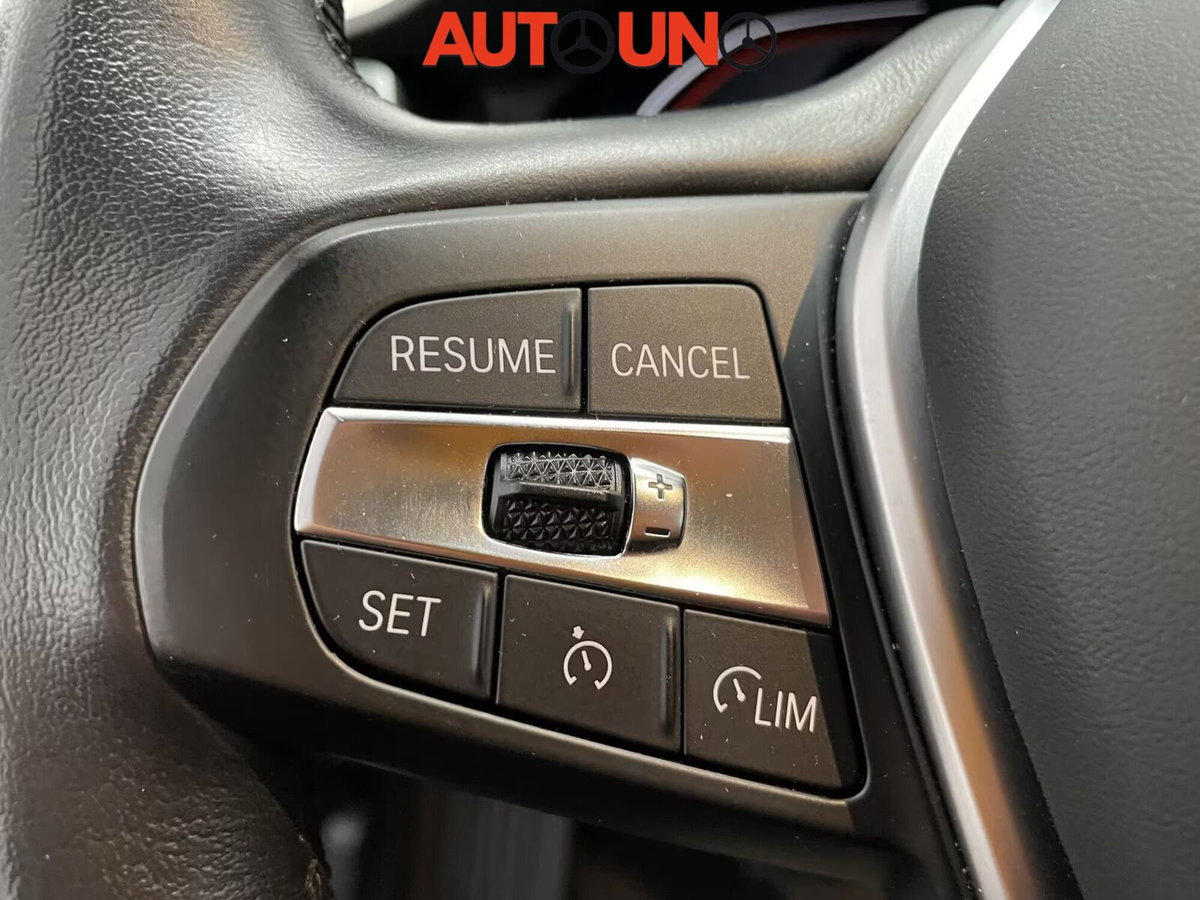 BMW Serie 3 Touring 318i  Business Advantage (6)