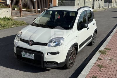 Fiat Panda 1.0 FireFly S&S Hybrid City Cross usata