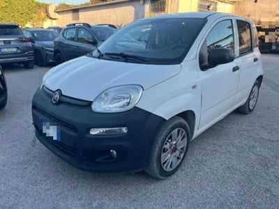 Fiat Panda 1.2 Van Active 2 posti usata