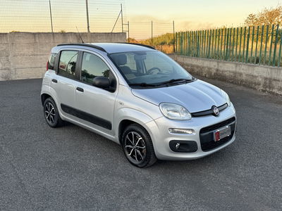 Fiat Panda 1.3 MJT S&S Easy usata