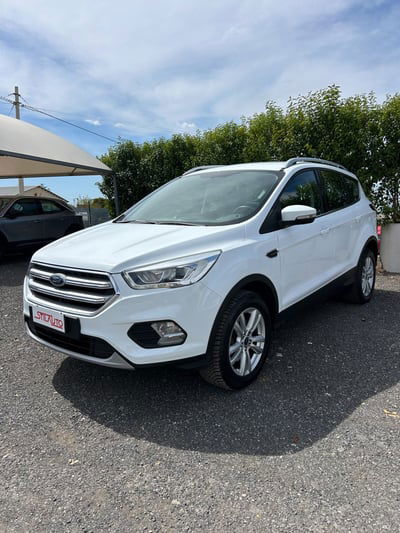Ford Kuga 2.0 TDCI 120 CV S&S 2WD Business N1 usata