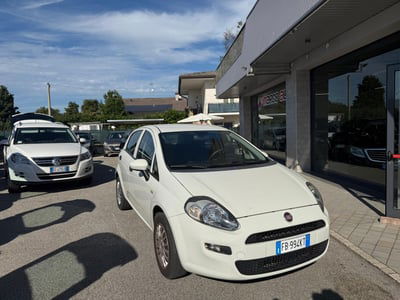 Fiat Punto 1.4 8V 5 porte Natural Power Lounge usata