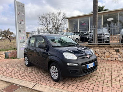 Fiat Panda 1.2 Pop usata