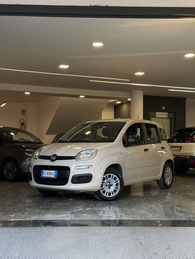 Fiat Panda 1.2 Easy usata