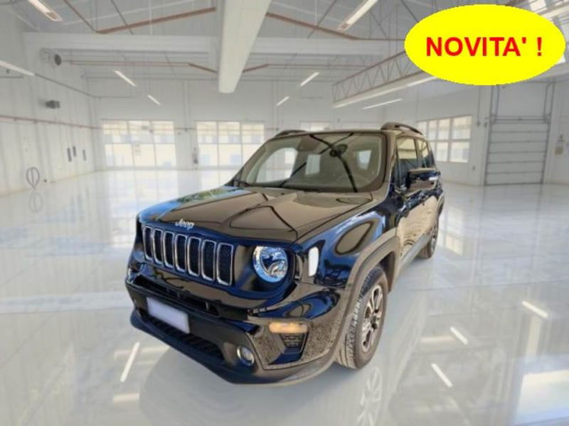 Jeep Renegade 1.0 T3 Business