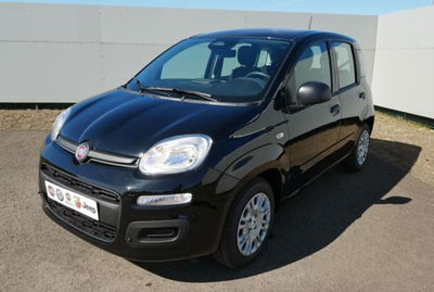 Fiat Panda 1.0 firefly hybrid s&s 70cv 5p.ti nuova