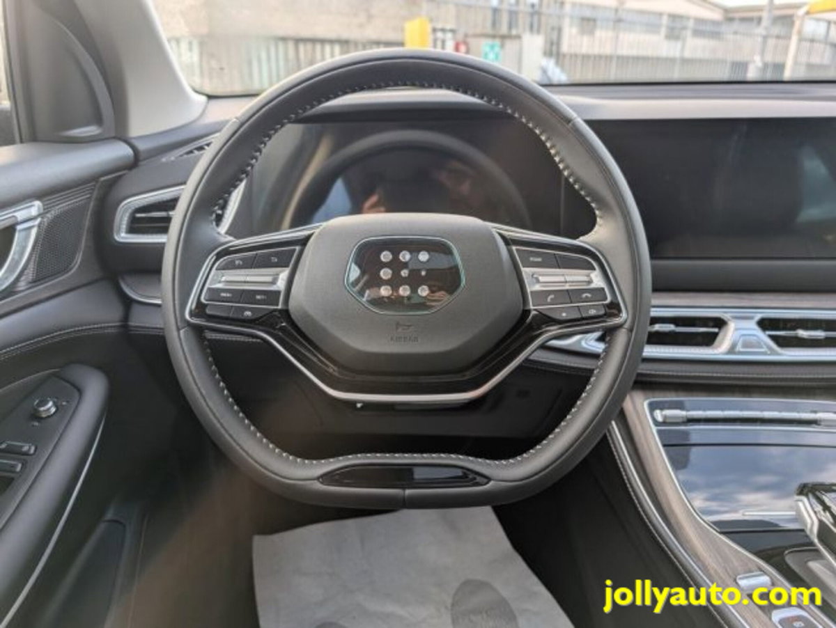 Dfsk E5  1.5 phev Business auto e-cvt (9)