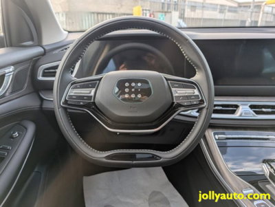 Dfsk E5  1.5 phev Business auto e-cvt (9)